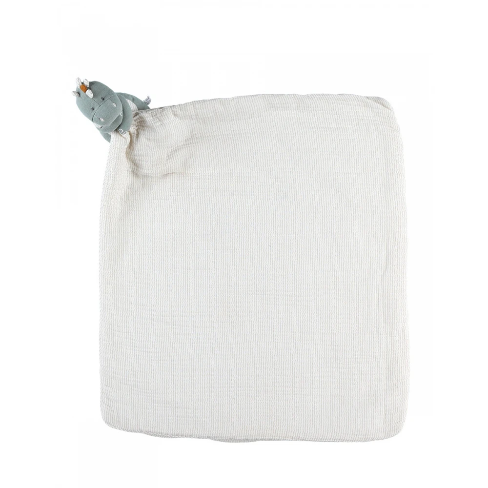 Ma Première Couverture Dinosaure Sauge 3 Ma Première Couverture Dinosaure Sauge – Image 3