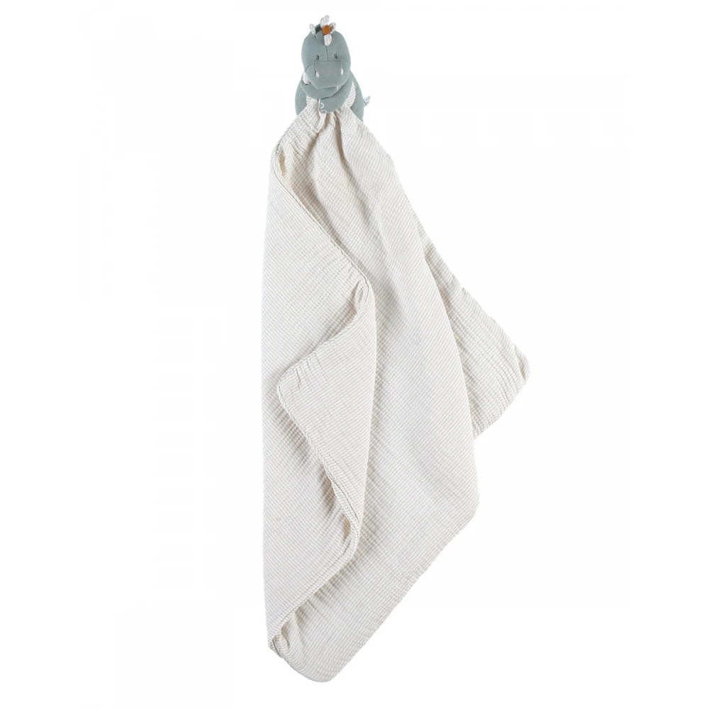 Ma Première Couverture Dinosaure Sauge 4 Ma Première Couverture Dinosaure Sauge – Image 4