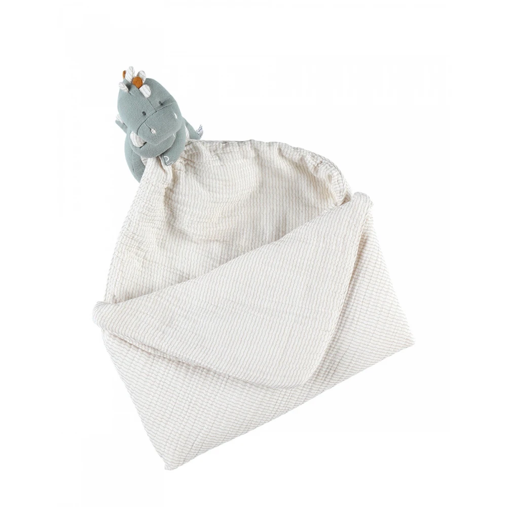 Ma Première Couverture Dinosaure Sauge 5 Ma Première Couverture Dinosaure Sauge – Image 5