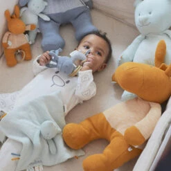 Doudou Coton Bio Nouky Mint -Allobébé am083492633 2