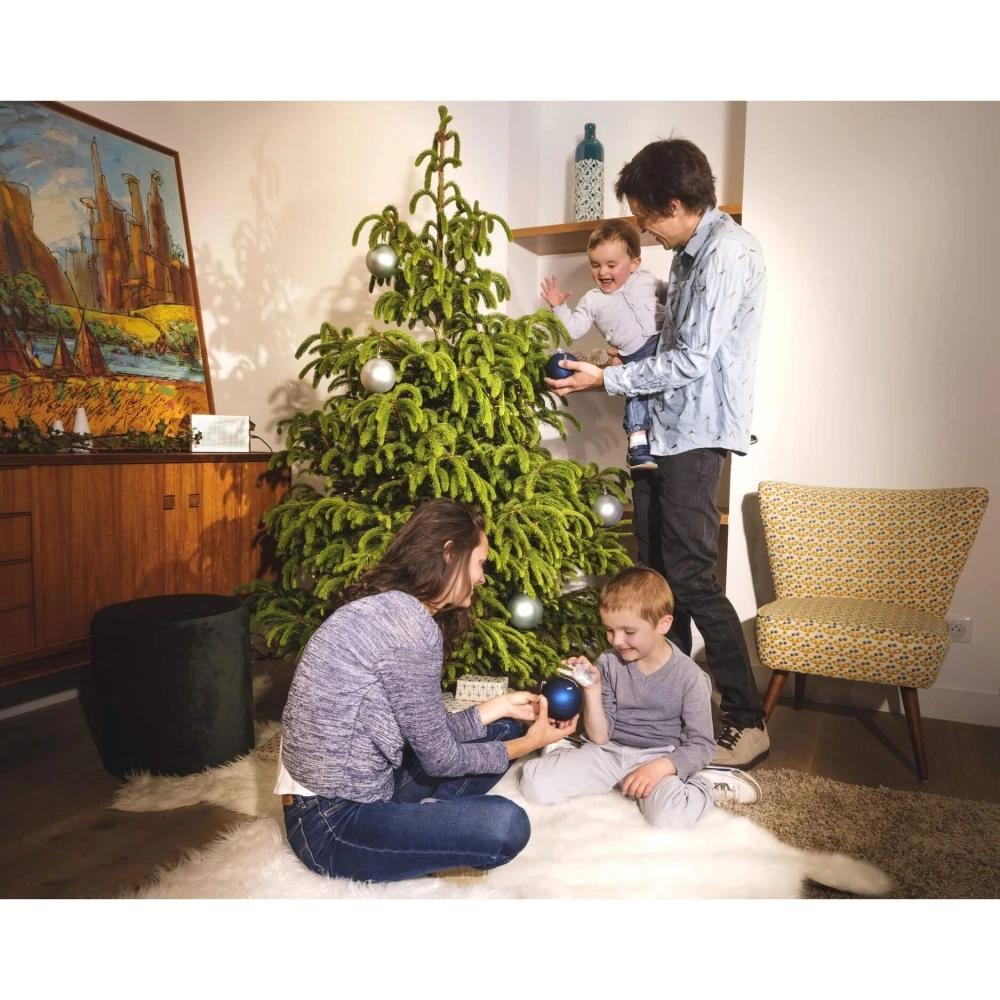 Boule De Noël Empreinte Argenté 4 Boule De Noël Empreinte Argenté – Image 4