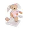 Pantin Lapin Rose Bio