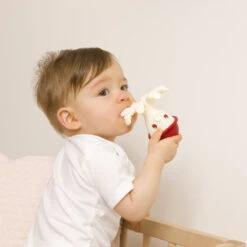 Jouet De Dentition Bonnie La Pieuvre Bordeaux -Allobébé bv083403617 2