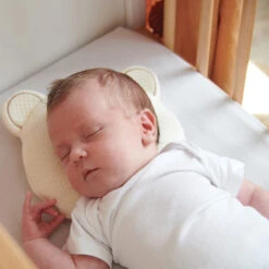 Candide Housse Ptit Panda Organic 7 Candide Housse Ptit Panda Organic -Allobébé ca060155100 3