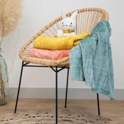 Couverture Bébé 75x100 Cm Microdoux Plume 5 Couverture Bébé 75x100 Cm Microdoux Plume -Allobébé dv040534232 2