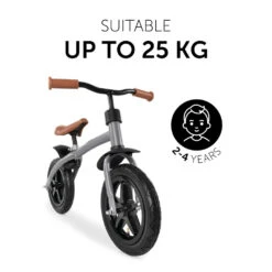 HAUCK Draisienne E Z Rider 12 Matt Grey -Allobébé ha082010068 3