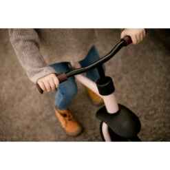 HAUCK Draisienne E Z Rider 12 Matt Rose -Allobébé ha082010075 5