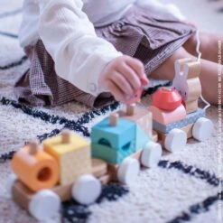 Janod Train En Bois à Tirer Pure -Allobébé ja082051571 7