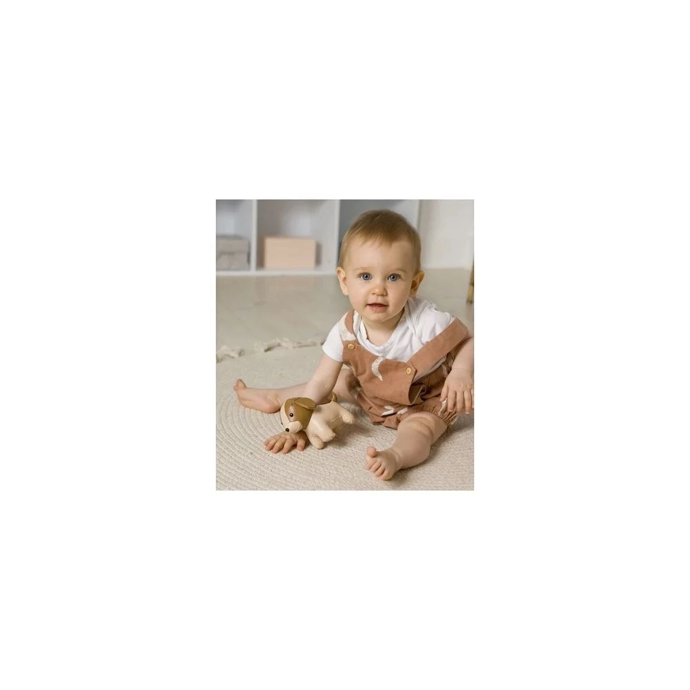 Les Petits Animaux - Adrien Le Chien 2 Les Petits Animaux - Adrien Le Chien – Image 2