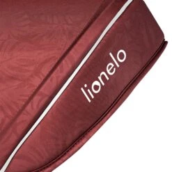 Lionelo Tricycle Kori Red Burgundy 17 Lionelo Tricycle Kori Red Burgundy -Allobébé le046359286 7