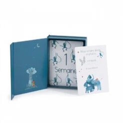 Moulin Roty Cartes Photos Souvenirs Mes 12 Premiers Mois Sous Mon Baobab 5 Moulin Roty Cartes Photos Souvenirs Mes 12 Premiers Mois Sous Mon Baobab -Allobébé mr021297498 2