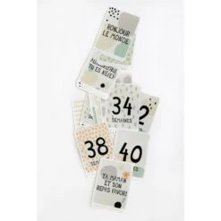 MILESTONE Cartes Photos Souvenirs Pour Future Maman 10 MILESTONE Cartes Photos Souvenirs Pour Future Maman -Allobébé ms021060026 2