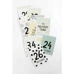 MILESTONE Cartes Photos Souvenirs Pour Future Maman 13 MILESTONE Cartes Photos Souvenirs Pour Future Maman -Allobébé ms021060026 5