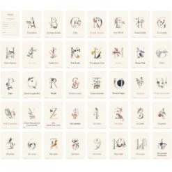 MILESTONE Cartes Photos Souvenir Ma Première Année Collection Luxe Abc 7 MILESTONE Cartes Photos Souvenir Ma Première Année Collection Luxe Abc -Allobébé ms021067629 3