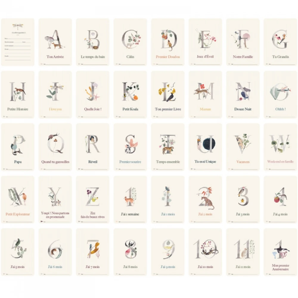 MILESTONE Cartes Photos Souvenir Ma Première Année Collection Luxe Abc 4 MILESTONE Cartes Photos Souvenir Ma Première Année Collection Luxe Abc – Image 4