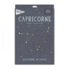 MILESTONE Affiche Poster Astrologique Capricorne