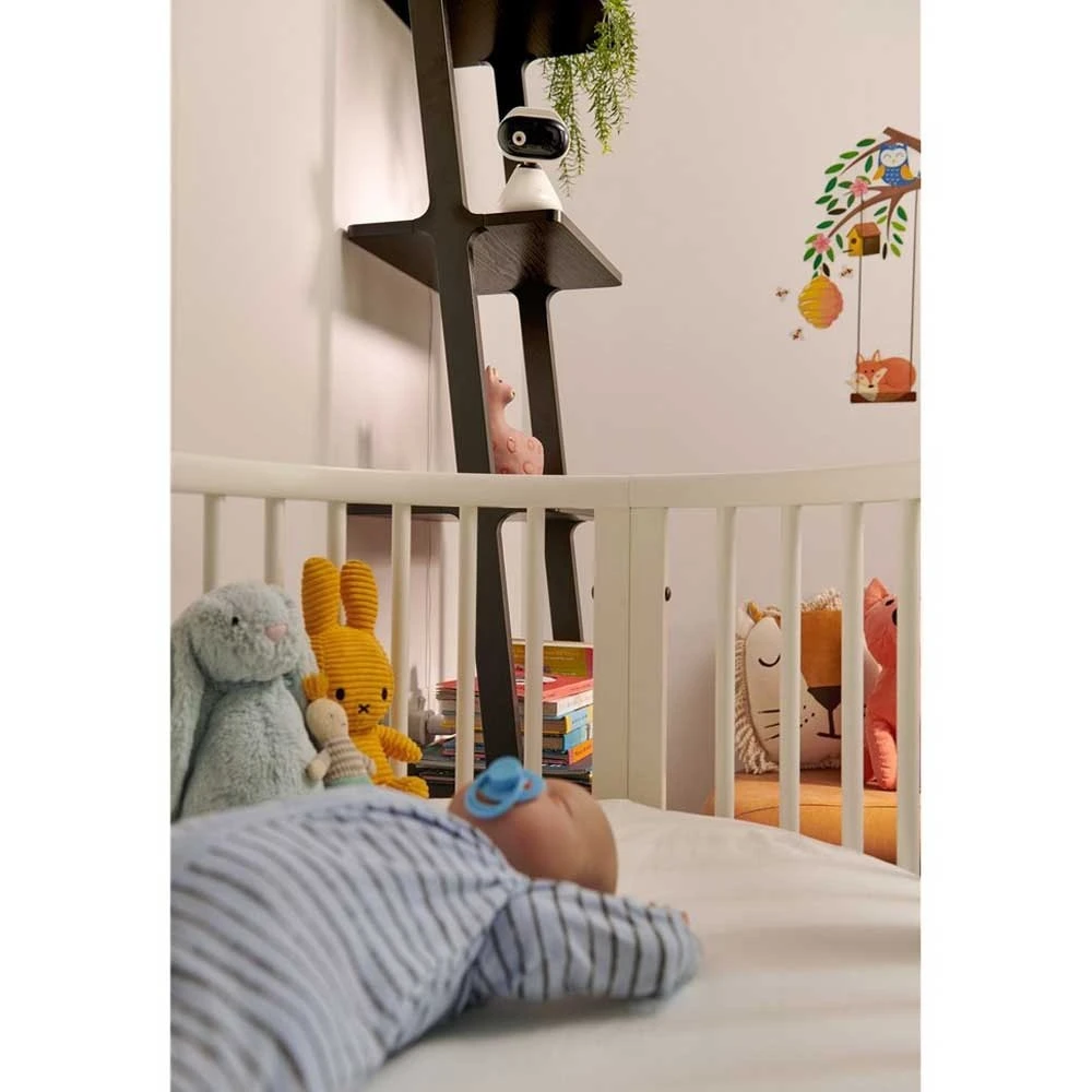 Motorola Pip 1500 Ecran 5 4 Motorola Pip 1500 Ecran 5 – Image 4