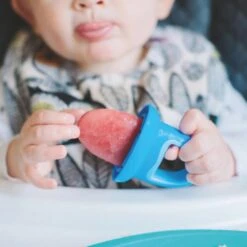 Nuby Lot De 4 Moules à Glaces Garden Fresh 11 Nuby Lot De 4 Moules à Glaces Garden Fresh -Allobébé nu050154954 5