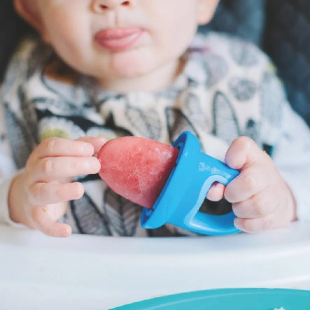 Nuby Lot De 4 Moules à Glaces Garden Fresh 6 Nuby Lot De 4 Moules à Glaces Garden Fresh – Image 6