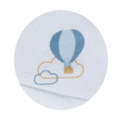 Lot De 2 Bodies Blanc Et Bleu 3 Mois Lazare -Allobébé st121004651 2