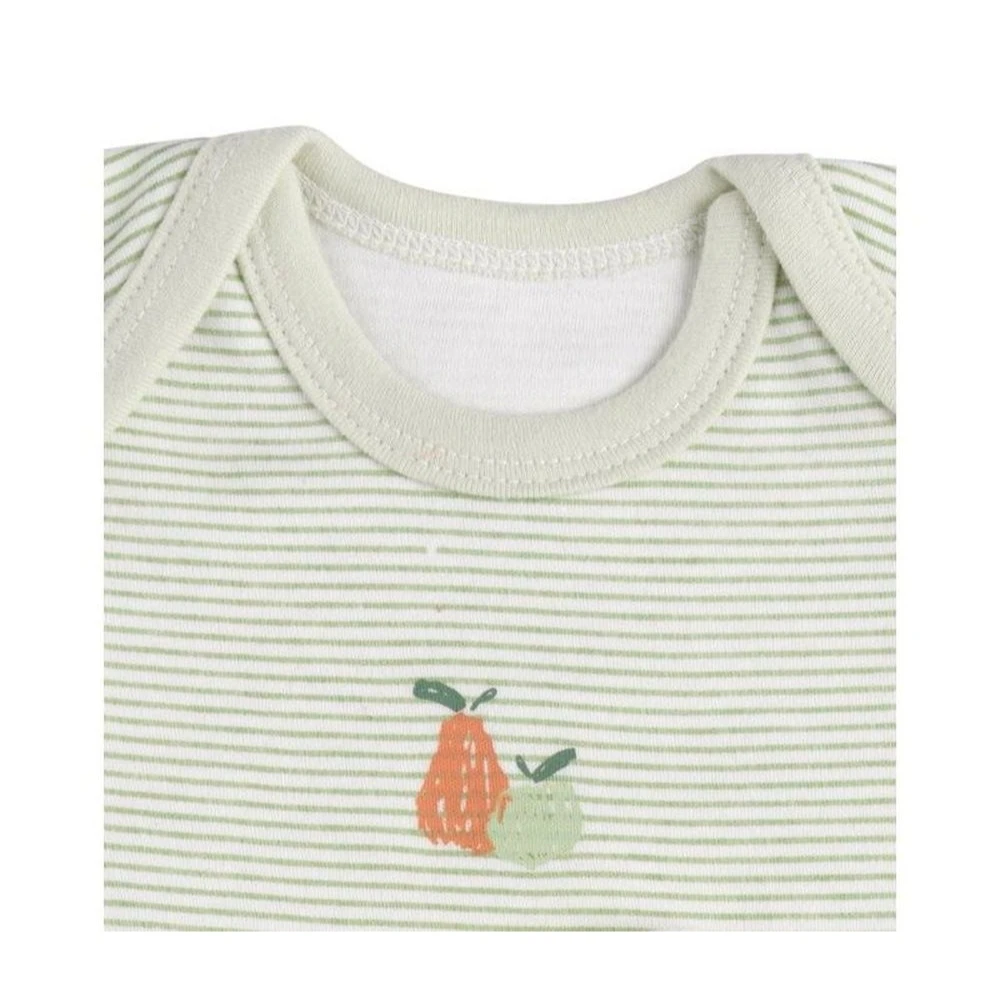 Lot De 3 Bodies 6 Mois Manches Courtes Botanica 2 Lot De 3 Bodies 6 Mois Manches Courtes Botanica – Image 2