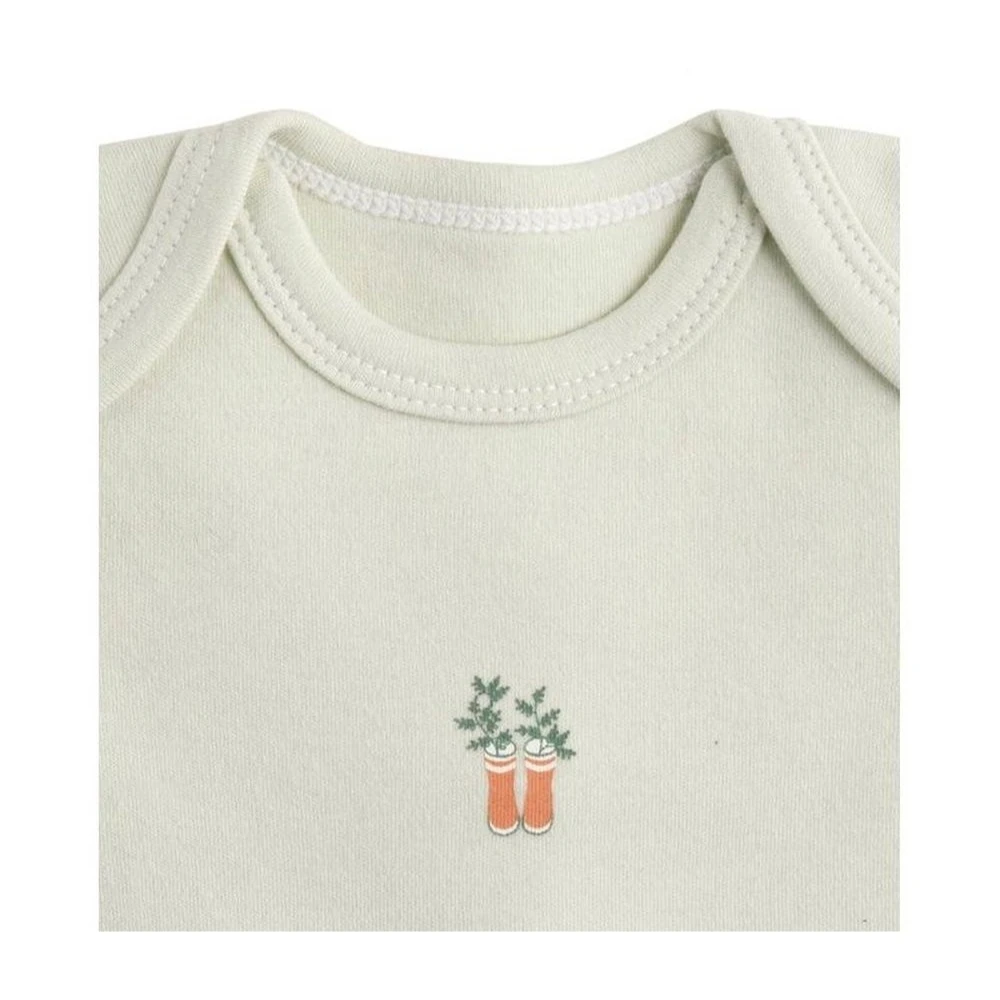 Lot De 3 Bodies 6 Mois Manches Courtes Botanica 4 Lot De 3 Bodies 6 Mois Manches Courtes Botanica – Image 4