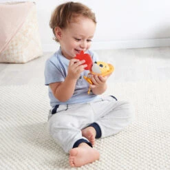 Tiny Love Jouet D'éveil Wonder Buddies Leonardo Le Lion -Allobébé tl083262515 4